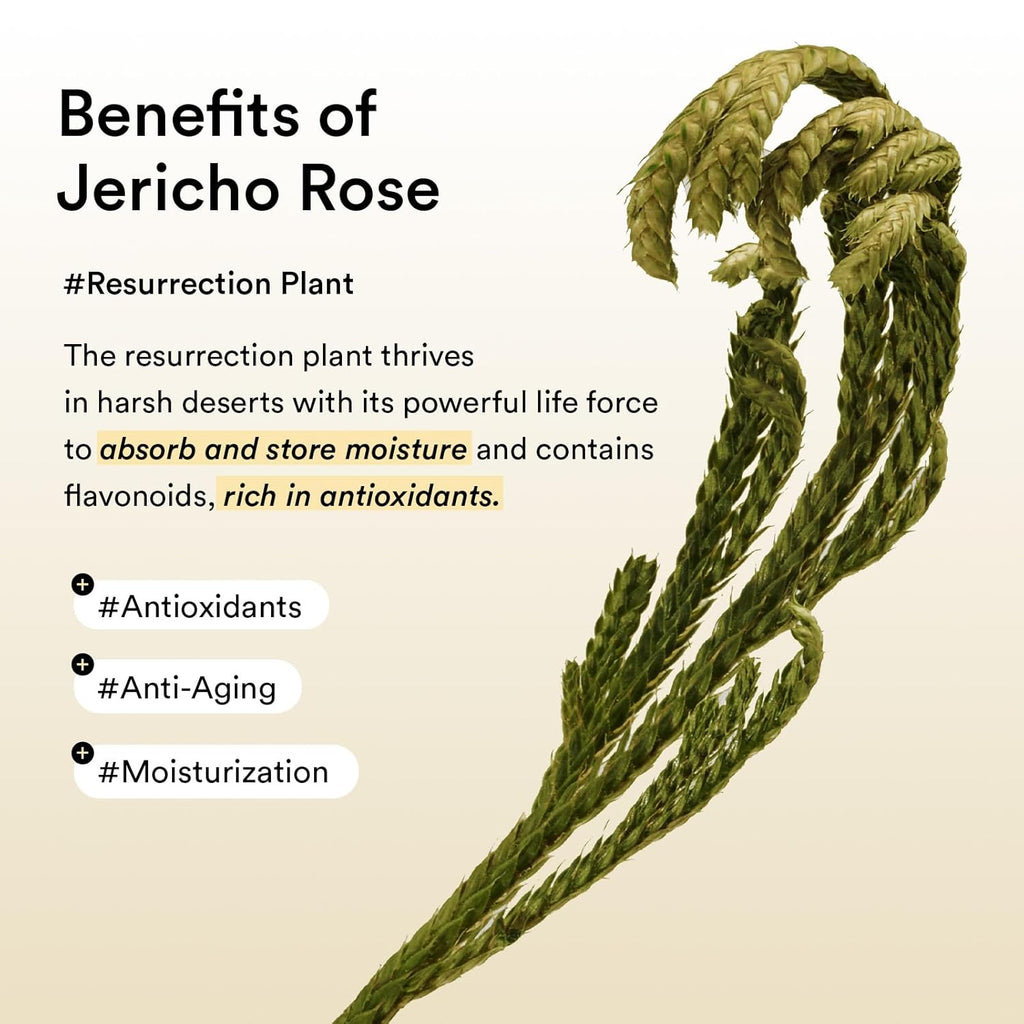 Abib Collagen Peptide Eye Patches for Wrinkles & Fine Line with Jericho Rose Jelly, 60 Count, Korean Skin Care